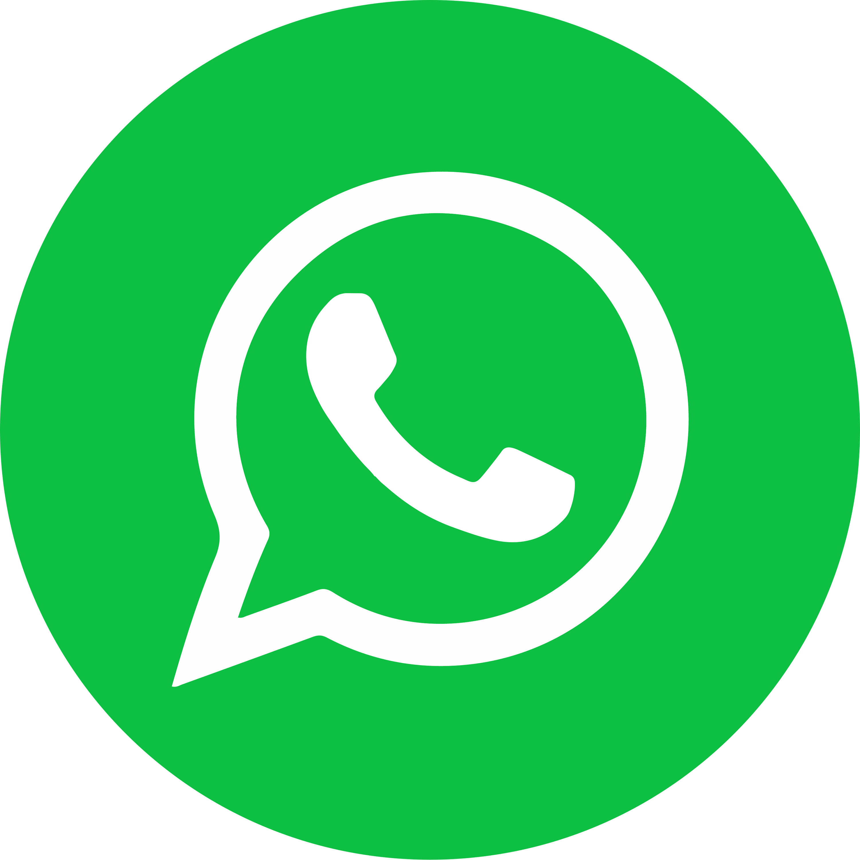 Botão WhatsApp